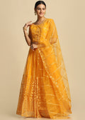 Beaut Gold Color Net Festival Wear Lehenga Choli